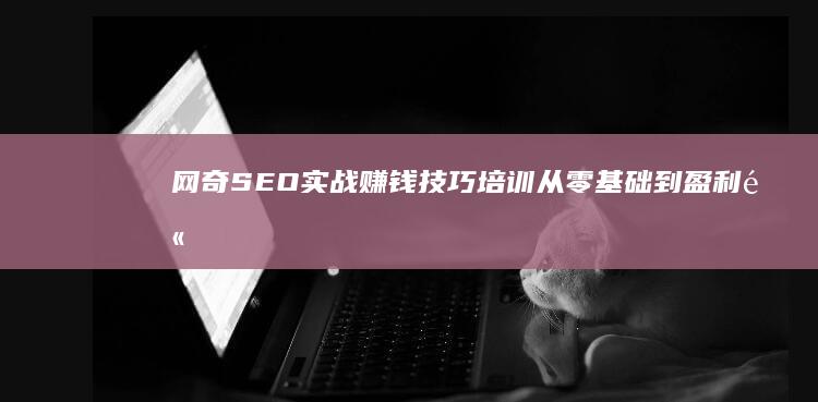 网奇SEO实战赚钱技巧培训：从零基础到盈利高手